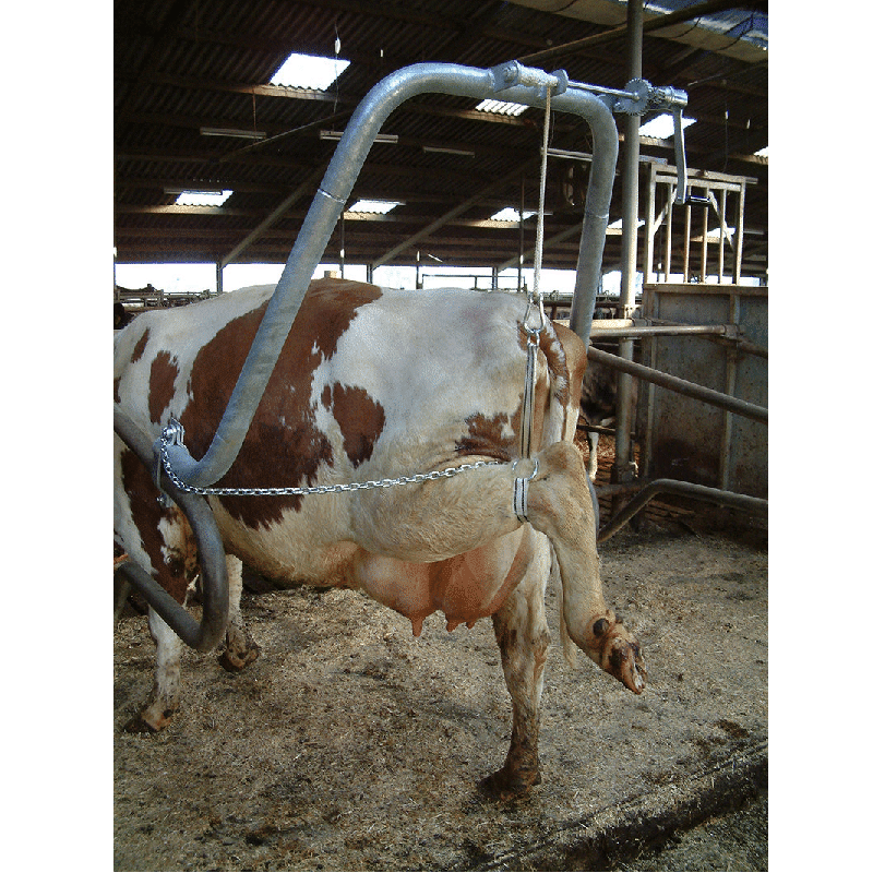 Hoofcare Frame