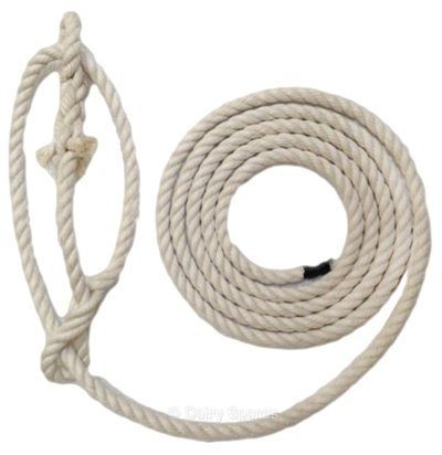 Sheep Halter Best Cotton – HA05 HA05