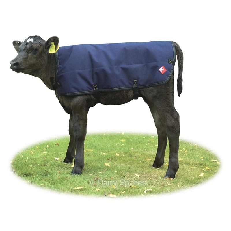 Tough Cover Quilted Calf Coat Jacket – Standard CC21AB