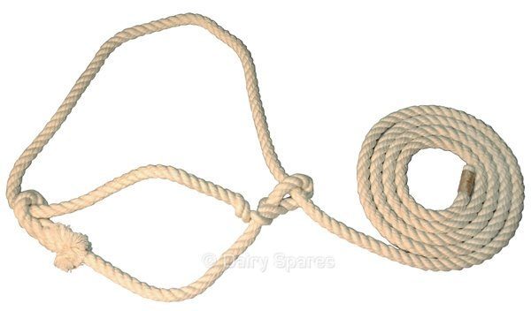 Calf Halter Best Cotton w/o Ring – HA01 HA01