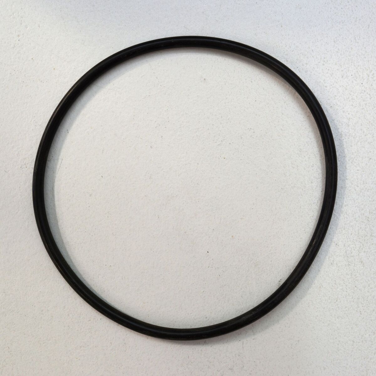 Fristam 2.2kW Faceplate O-Ring 8808-5070-163