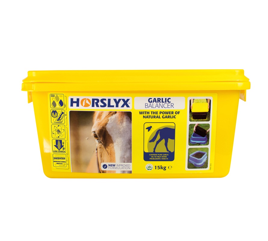 Horslyx Garlic Balancer Lick CTH0105 | CTH0524