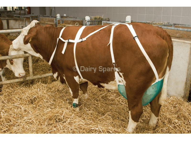 Udder Support Net US01