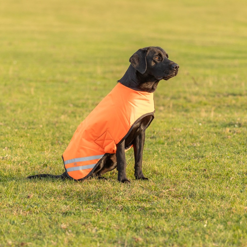 Benji & Flo Reflector Waterproof Dog Coat BAF0132