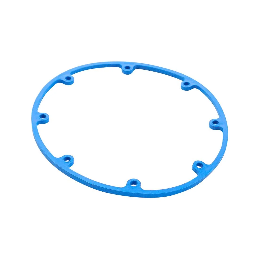 Aquajetz gasket D10480119