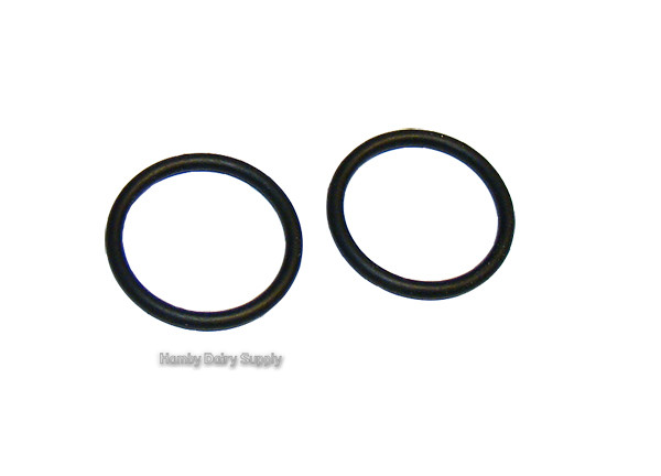 Surge® Filter o-ring 1.5 inch (bag of 2) 7750-0020-685