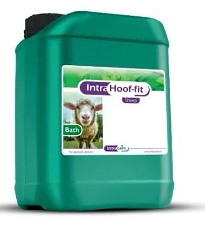 Intra Hoof-fit Foot Bath Solution for Sheep