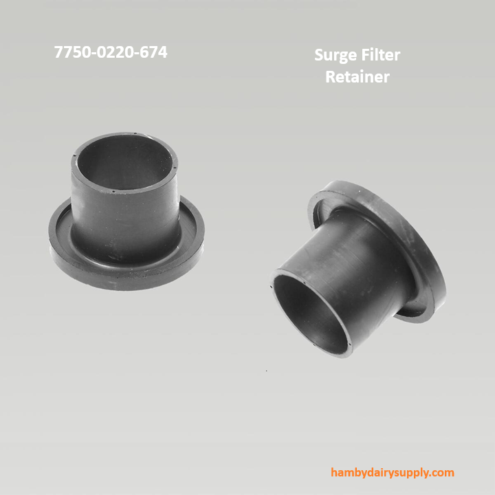 Filter Retainer for Surge (2) SKU 1041-133