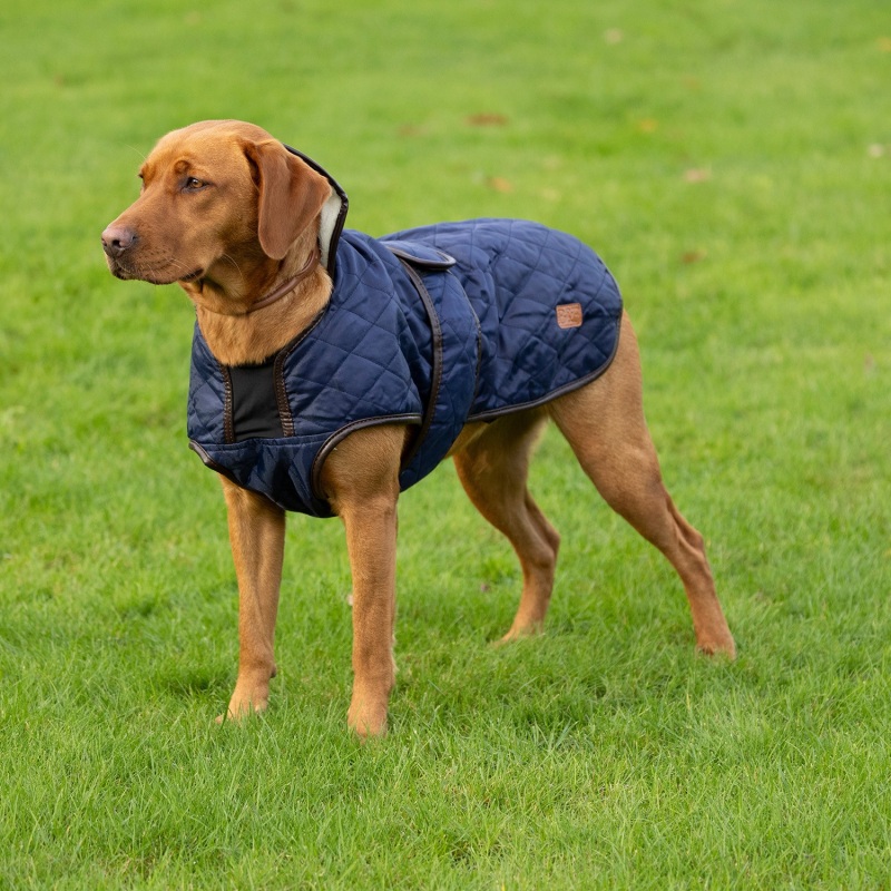 Benji & Flo Teddy Quilted Dog Coat BAF0102