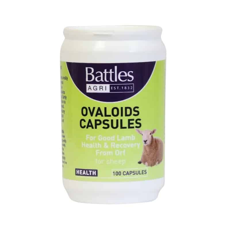 Battles Ovaloid Capsules 2588 / BHB1569