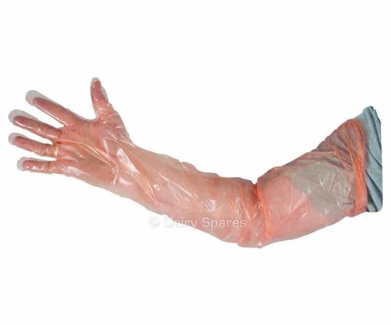Febra Softies Examination Glove AI01S