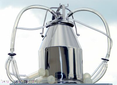 2 Goat Interpuls Bucket Milker