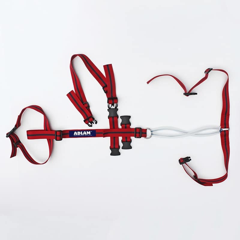 ADLAM Multi-Use Prolapse Harness