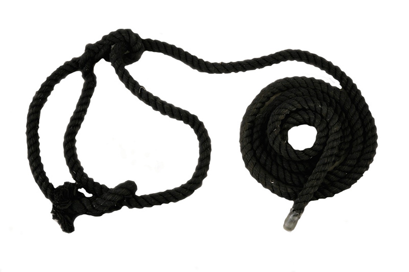 Cattle Cotton Halter – black