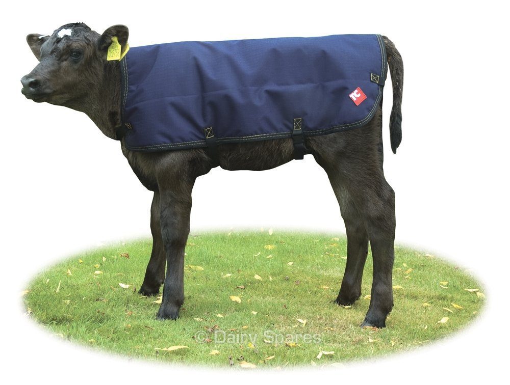 Tough Cover Calf Coat Standard 150g Qulited – CC21A CC21A