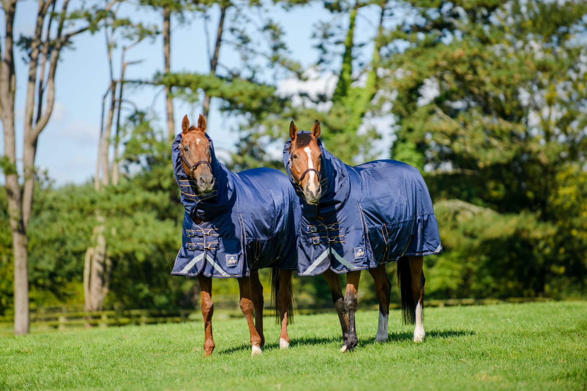 Wicklow Medium Turnout Rug
