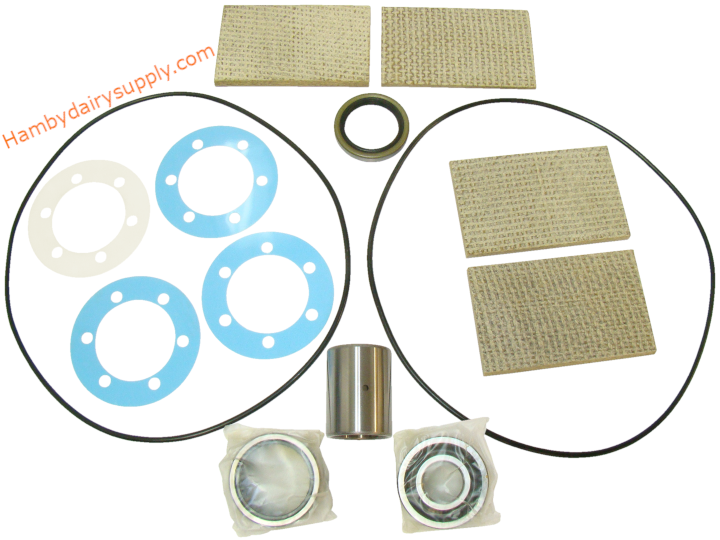 Major Rebuild Kit for SURGE® ALAMO 30, 40, 550 Vacuum Pumps 7750-0014-049