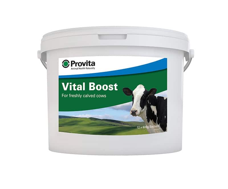 Provita Vital Boost