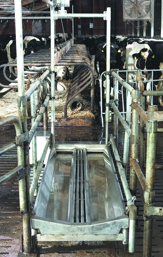 Vink Stainless Steel Cattle Foot Bath (Special Order) – CB35 CB35