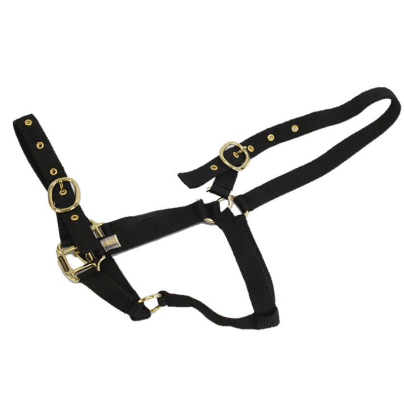 Equisential Cob Nylon Headcollar