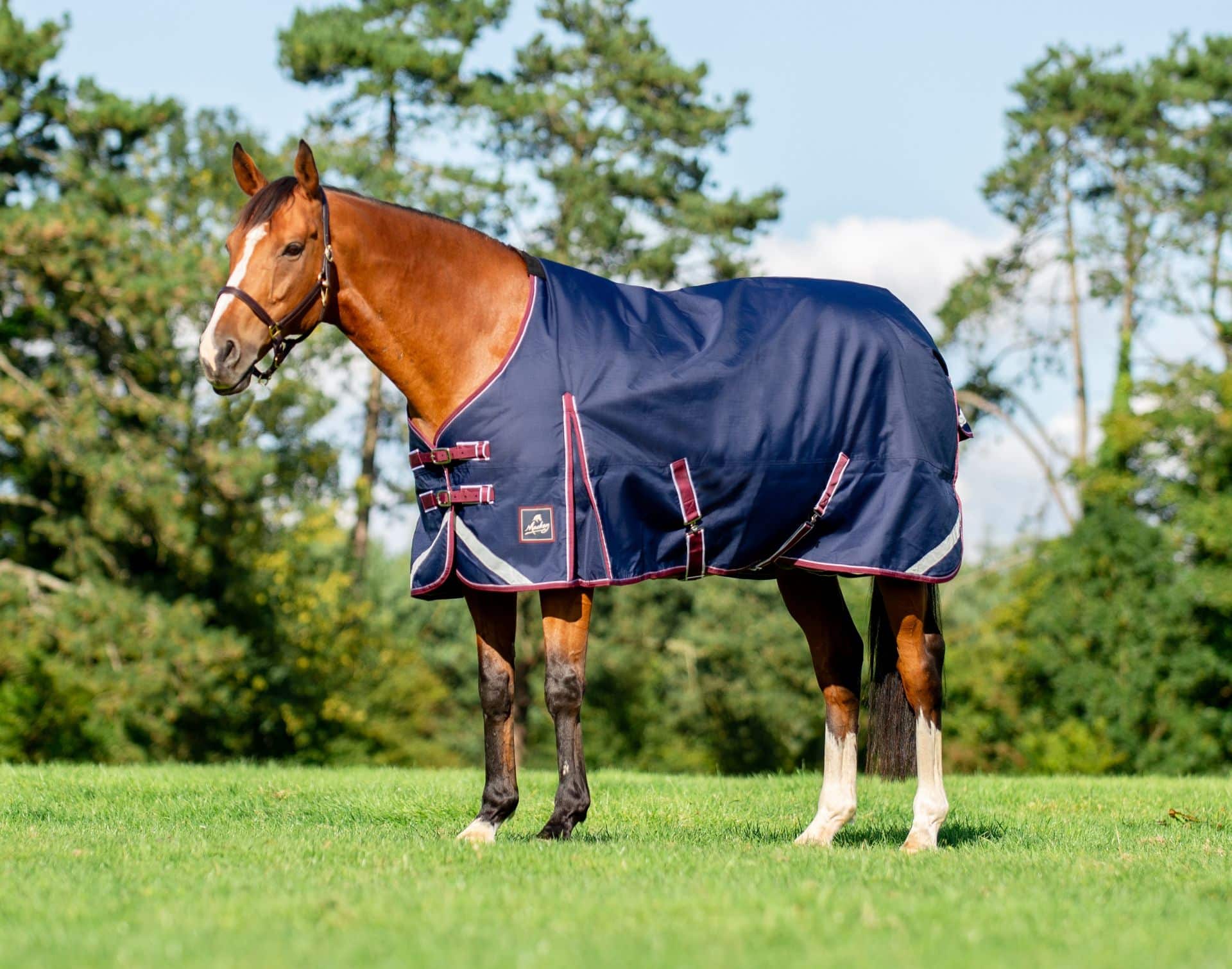 Keadeen Standard Turnout Rug