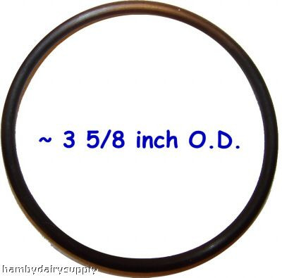 O-Ring for Mueller Detergent jar ***each***