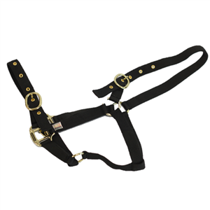 Equisential Foal Nylon Headcollar