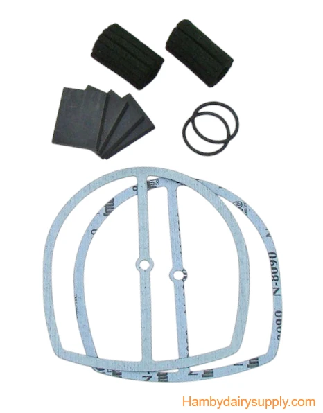 Rebuild Kit for 1/4 hp NuPulse / Hoegger / Gast vacuum pumps