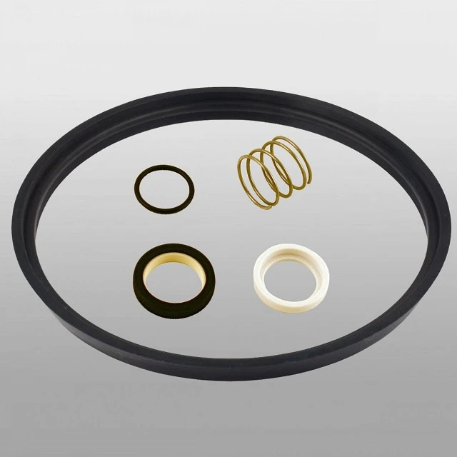 Teflon Seal Kit for SP81 Milk Transfer Pump 4999-1019-156