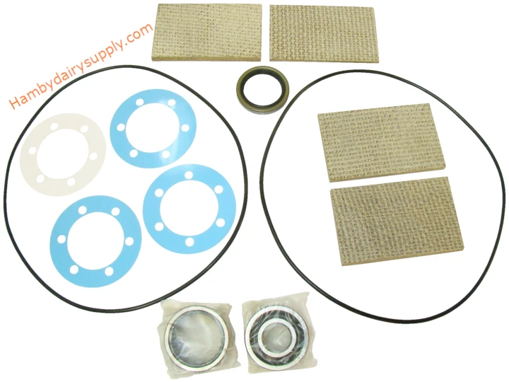 Basic Rebuild Kit for SURGE® ALAMO 30, 40, 550 Vacuum Pumps 7750-0014-049
