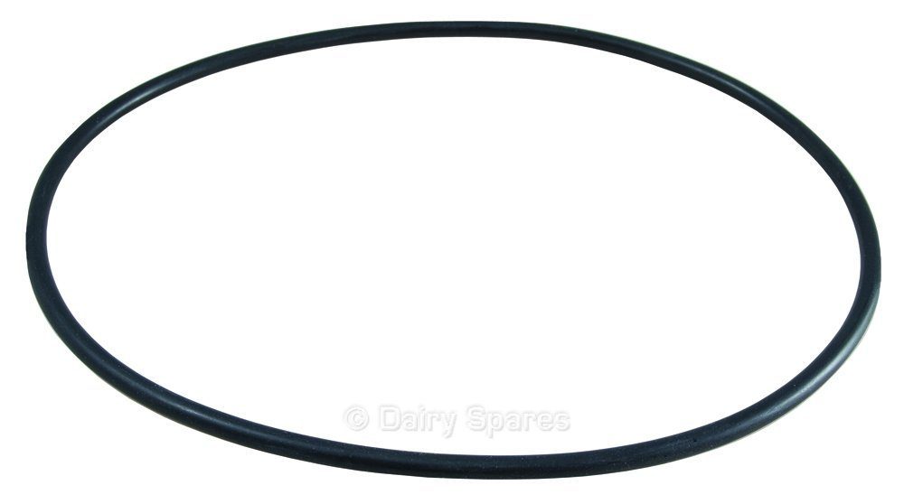 febra™ In-Line Filter ‘O’ Ring Seal (6015972) – DE023 DE023