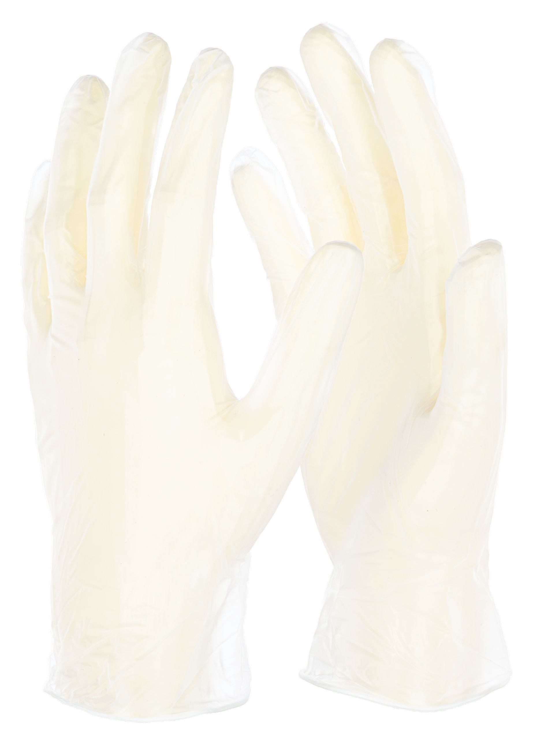 Einmalhandschuh Vinyl | 100 Stück