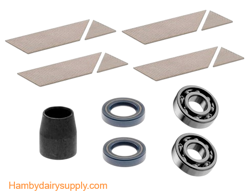 Rebuild Kit for GEA RPS 400 Vacuum pump RPS 400
