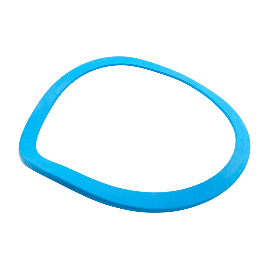 V I REC JAR ST/STL LID GASKET D10393015