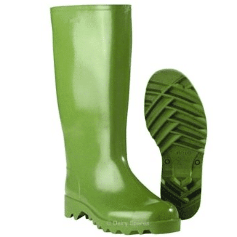 Nora Dolomite Wellington Boots Green