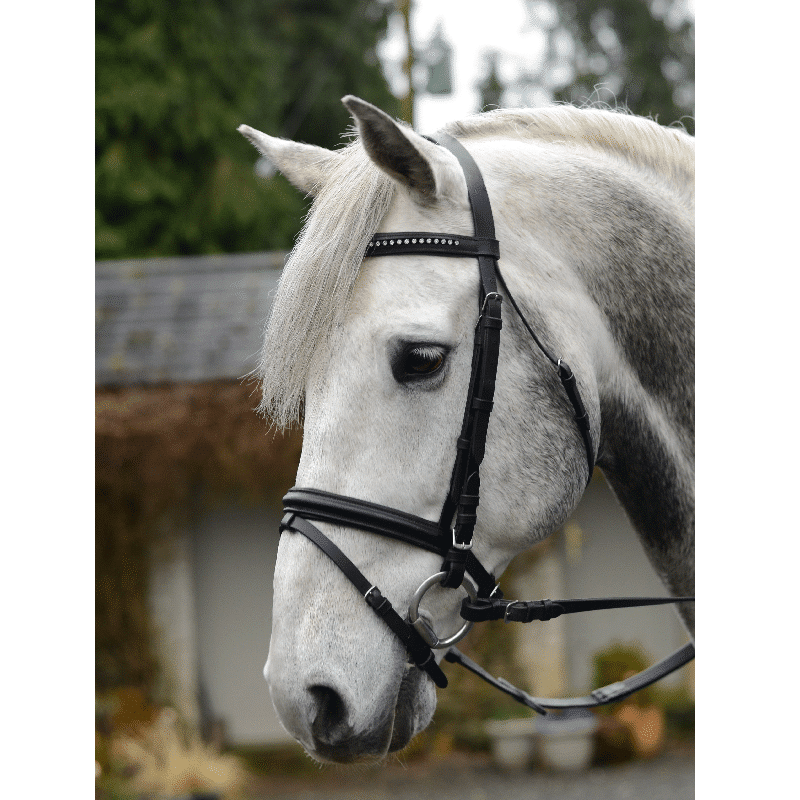 Equisential Bridle Bling