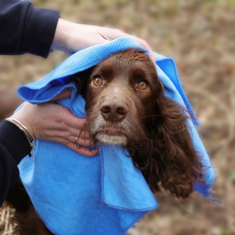 Benji & Flo Quick Dry Dog Towel BAF0211