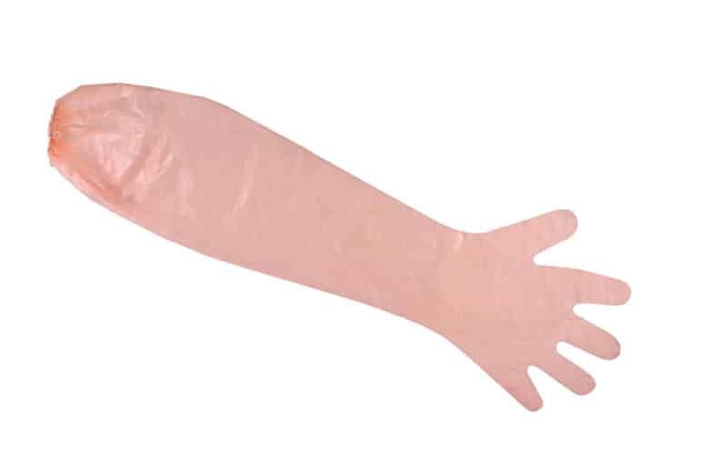 Armlength shoulder gloves with elastic cuff