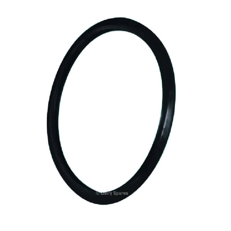 Deosan Febra in-line filter disc pressure seal DE022