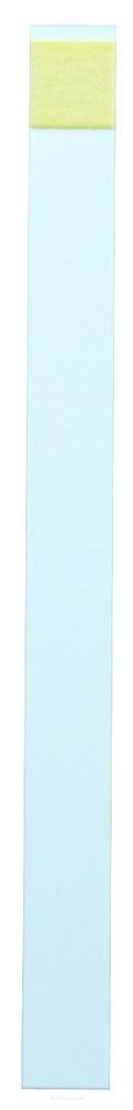 AirWash® Peracetic Acid Test Strips (10Pk) – AW1022 AW1022