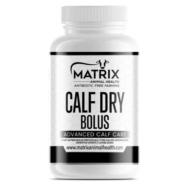Calf Dry Bolus