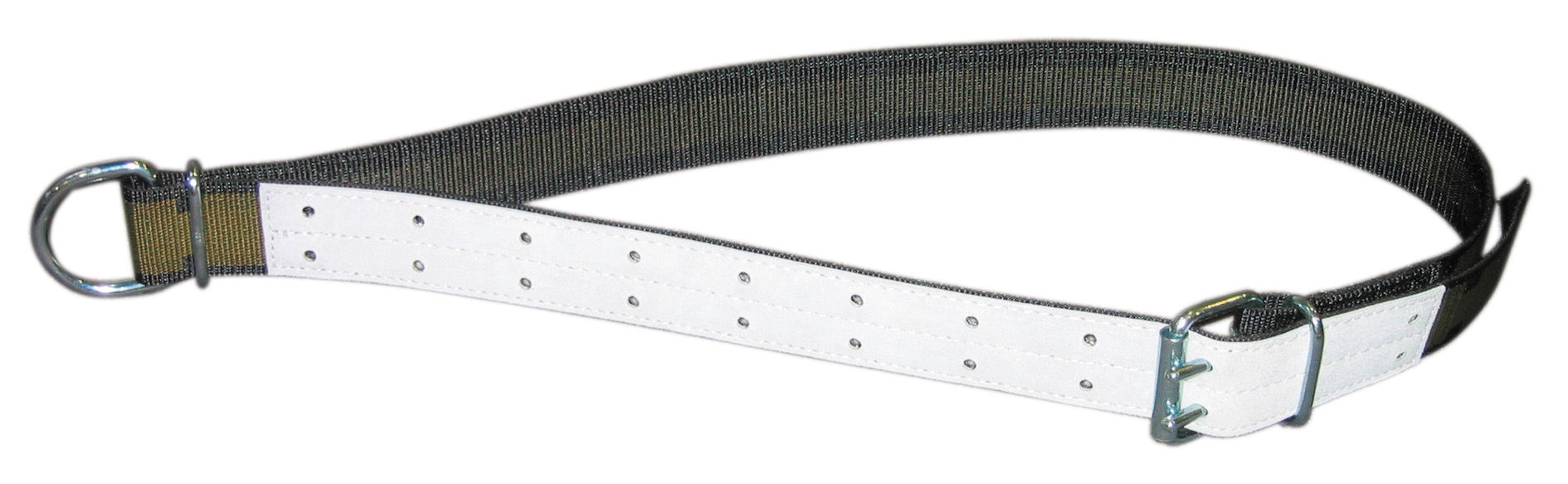 Halsband mit Ovalglied und D-Ring