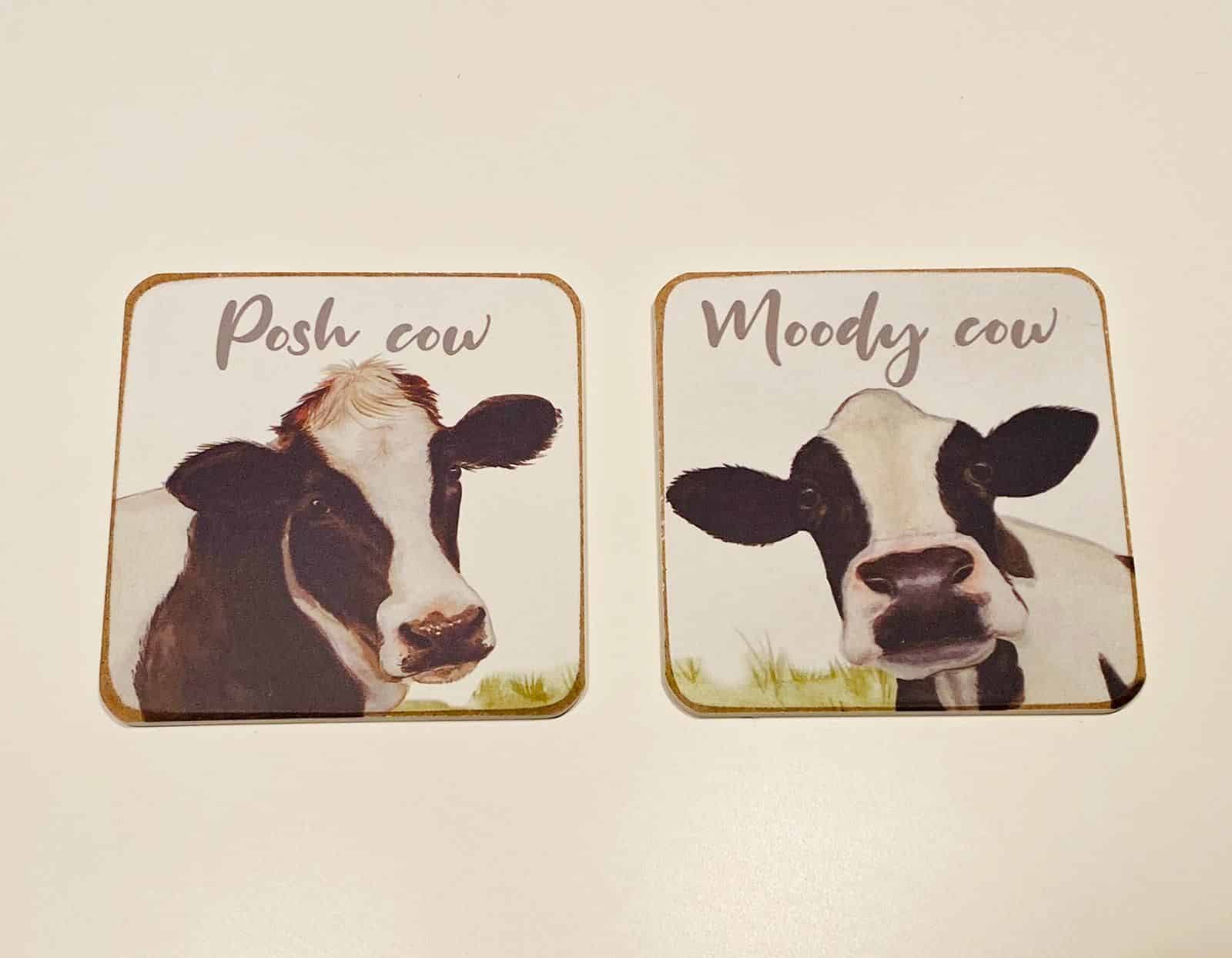 Cow Coaster Set of 2 8FM120