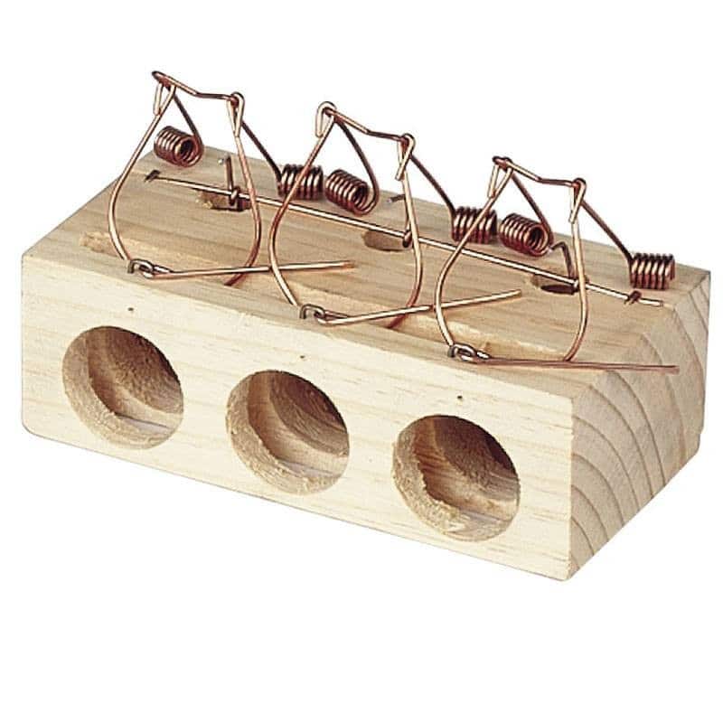 Triple Hole Mousetrap