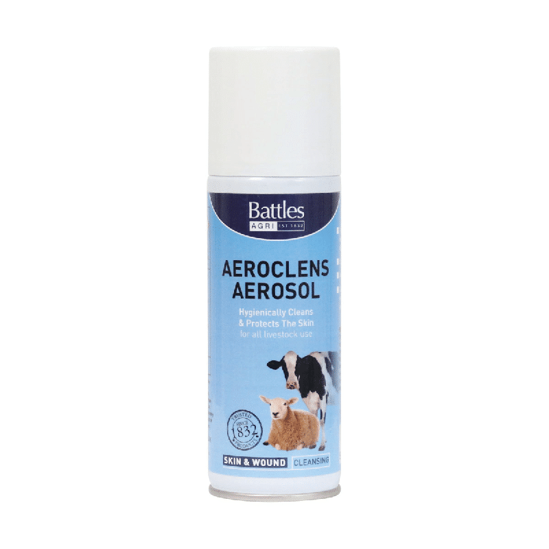 Battles aeroclens aerosol 150g 2505 / BHB1511
