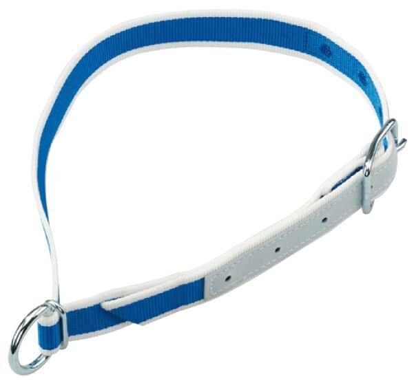 Cow collar blue and white nylon
