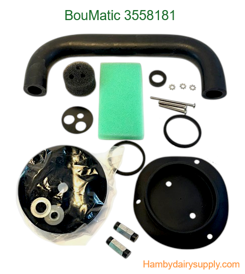 Service Kit 19 piece for Companion Detacher - OEM