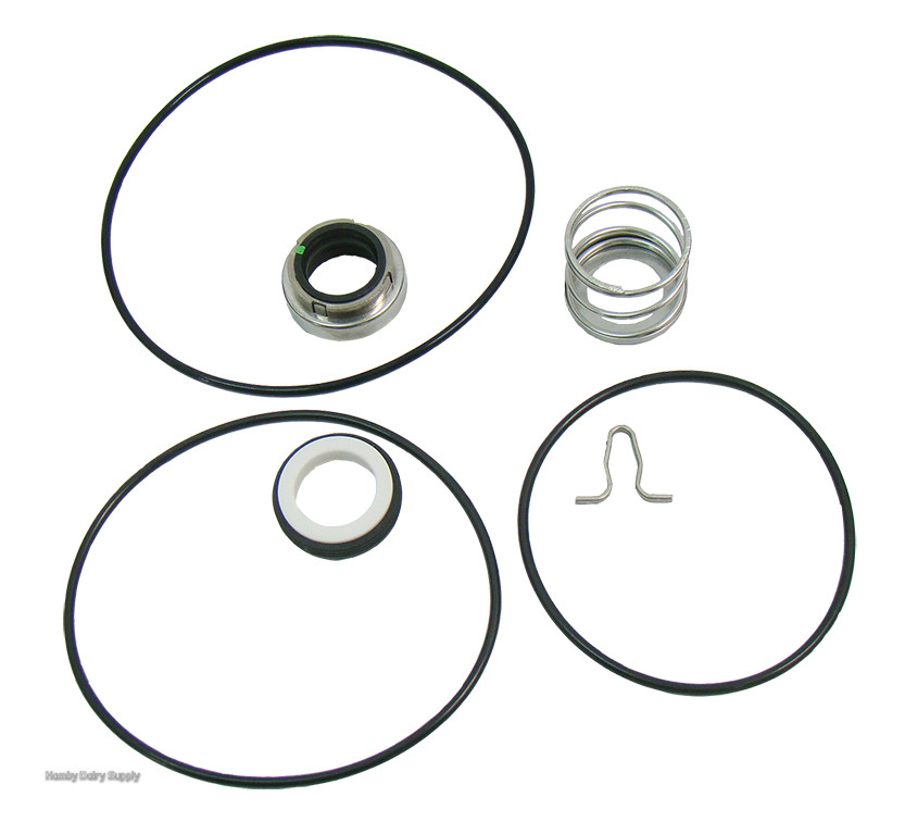 External Seal Kit for #4 #5 #6 Thomsen and Kleen-Flo Transfer Pump - aftermarket