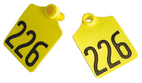PrimaFlex-Ohrmarke Größe 2, beidseitig geprägt | 25er Pack