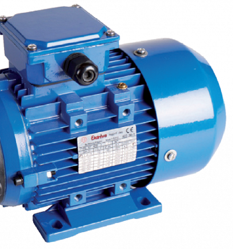 Delaval fmp110 type milk pump 1.1kw electric motor only (single phase) FMP110